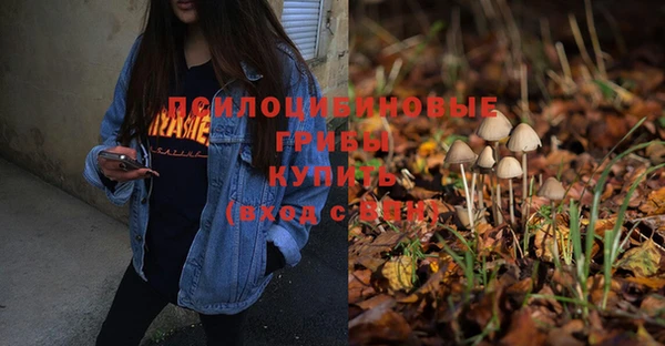 ГАЛЛЮЦИНОГЕННЫЕ ГРИБЫ Балабаново